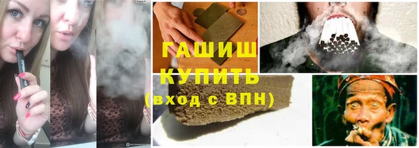 прущие грибы Пенза