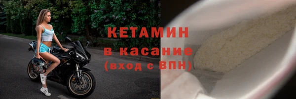 прущие грибы Пенза