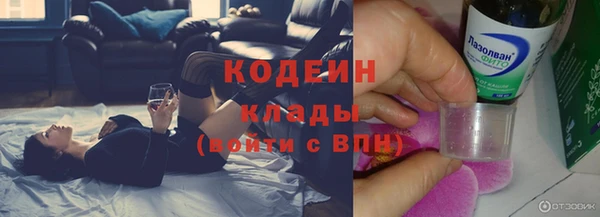прущие грибы Пенза