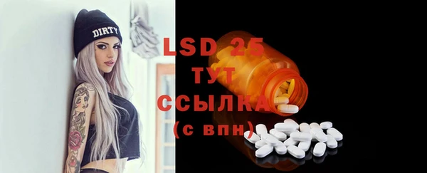 прущие грибы Пенза