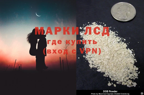 прущие грибы Пенза