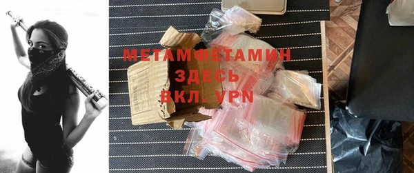 прущие грибы Пенза