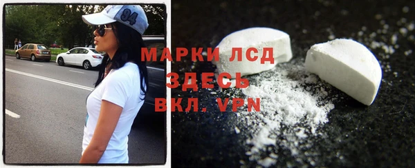 прущие грибы Пенза