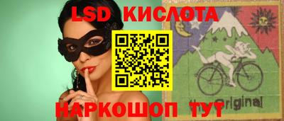 эйфоретик Аргун