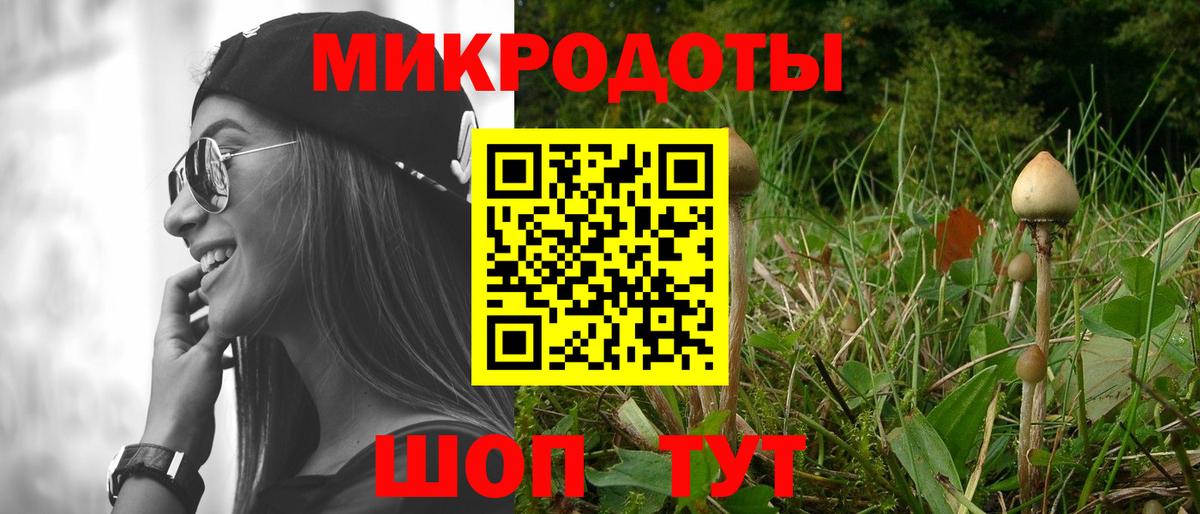 Галлюциногенные грибы мухоморы Асино