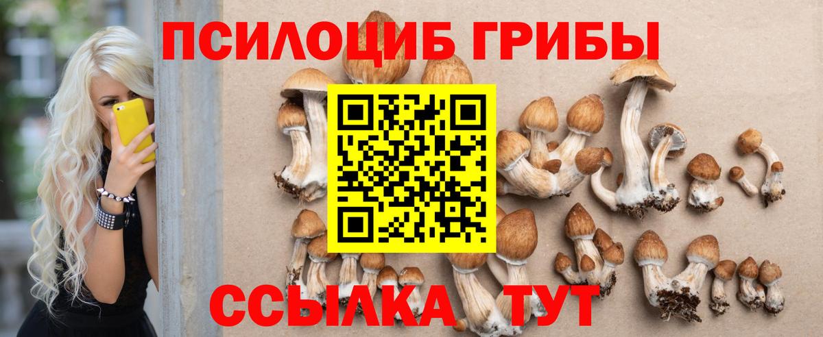 Псилоцибиновые грибы мухоморы  Галлюциногенные грибы Magic Shrooms  Вход с VPN  Асино 