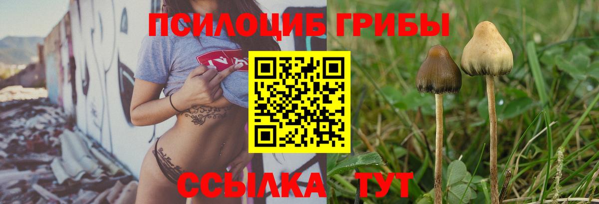 Галлюциногенные грибы мицелий Асино